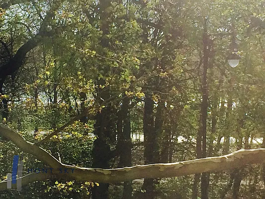 Sold by Mont Sky Real Estate | media 8