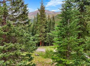 57 S County Road 675, Breckenridge, CO 80424