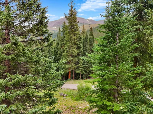 57 S County Road 675, Breckenridge, CO 80424