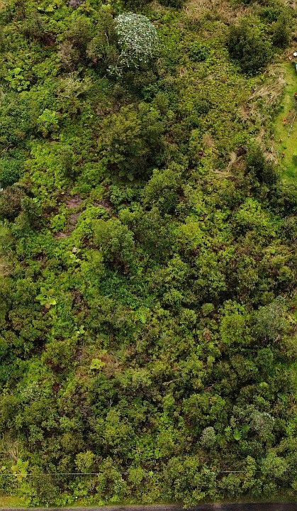 1st image of Wailele St Lot 23