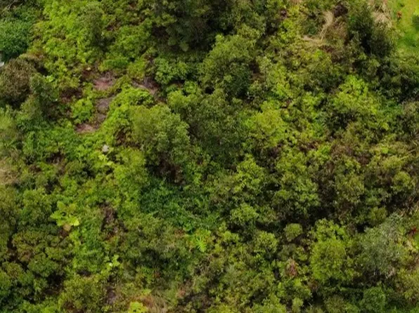 Wailele St Lot 23, Mountain View, HI 96771