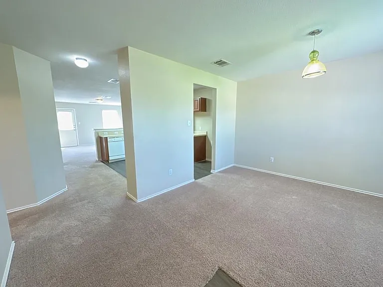 1000 Bluff Meadow Cv — Photo 2