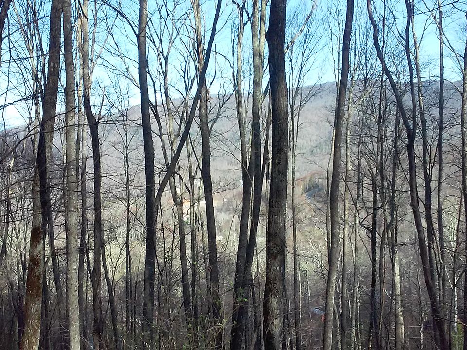 2nd image of Spruce Flats Circle