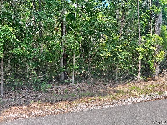 2nd image of 0 Ashborough Dr