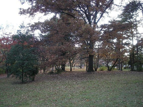 front of the home land