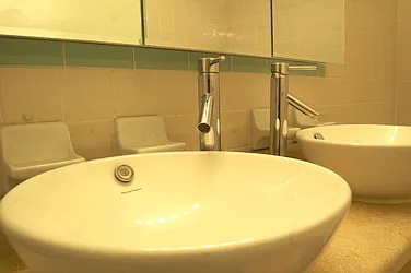 Rented by Link NY Realty