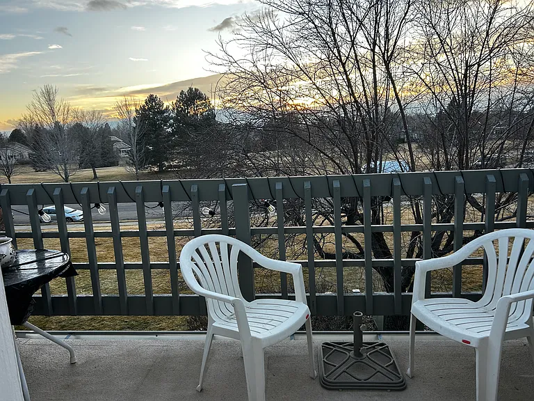 view from the porch