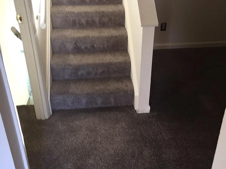 Dining Room Steps into Family Room