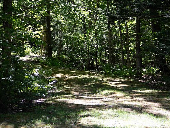 5th image of 81 Buzzell Cove Road