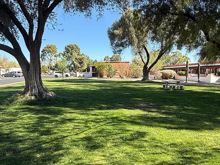361 S Paseo Pena #C — Photo 13
