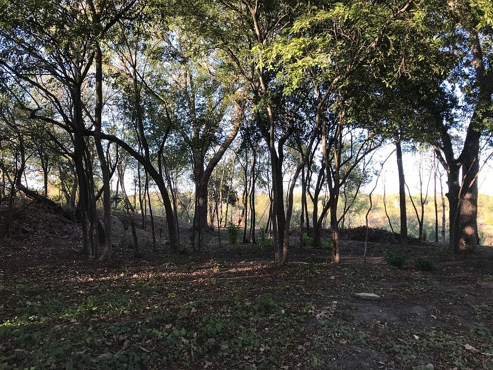 View from the backyard - San Antonio River is just down the hill.