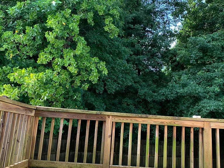 3152 Ruth Ct — Photo 2
