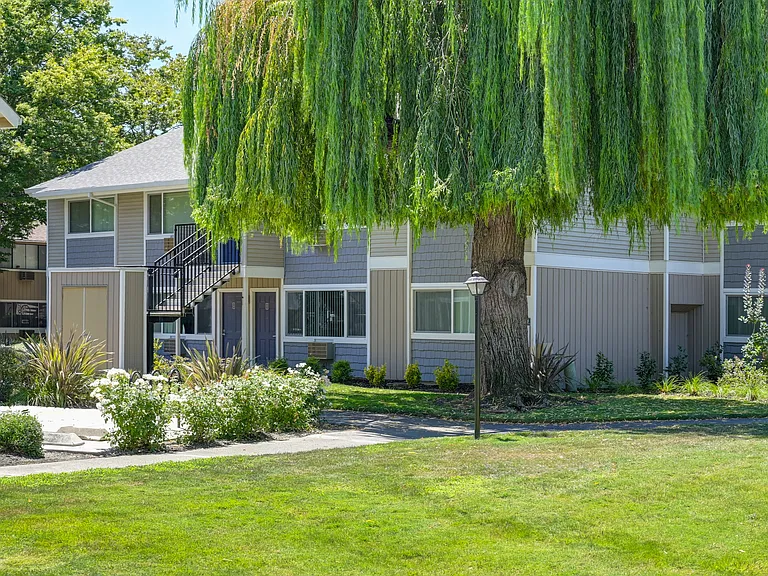 Pinecrest Apartments — Photo 12