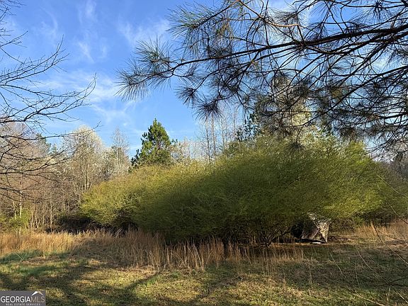 4th image of 0 Skelton Rd