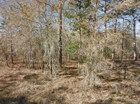 NE 16th St Lot 5, Williston, FL 32696