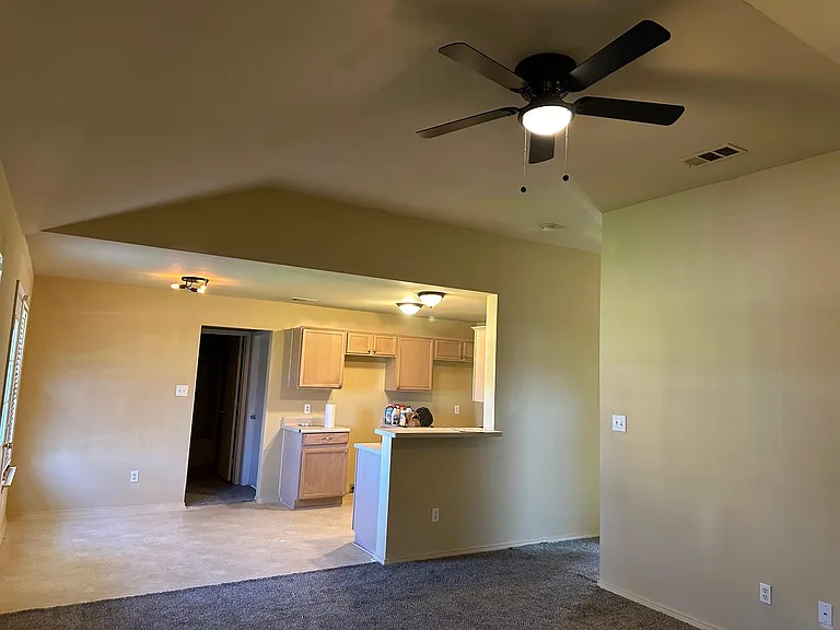 253 Los Cabos Dr — Photo 8