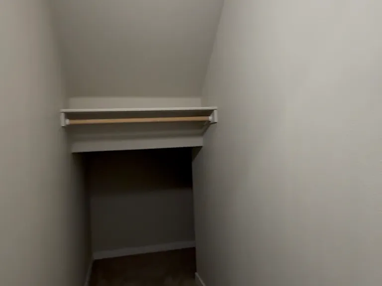 Long under-stair storage closet with hanging rod and carpeted floor.