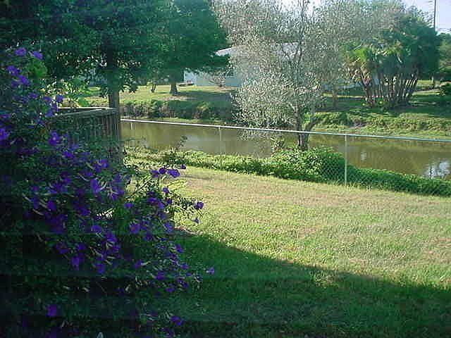 Lakefront View