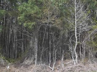 Griffin Swamp Rd LOT 2, Elizabeth City, NC 27909