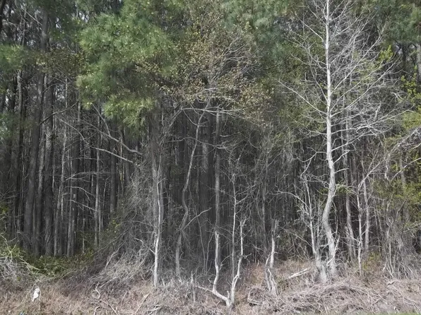 Griffin Swamp Rd Lot 2, Elizabeth City, NC 27909