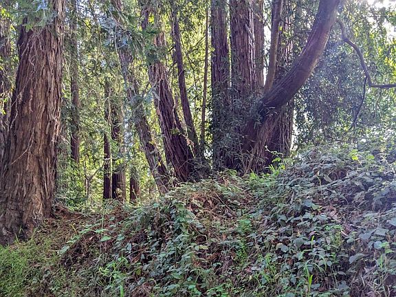 5th image of 8055 Glen Haven Rd