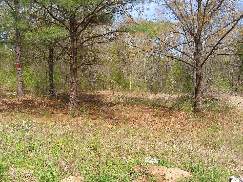 2nd image of 183 Rayford Rd