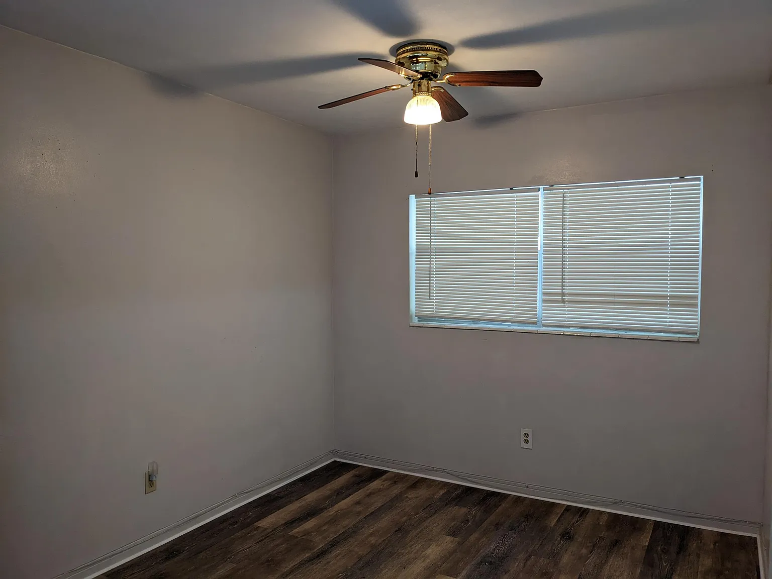 Hibiscus Ave S 454 - 1 — Photo 3