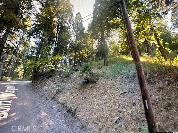 0 Burnt Mill Canyon Rd #20, Cedarpines Park, CA 92322