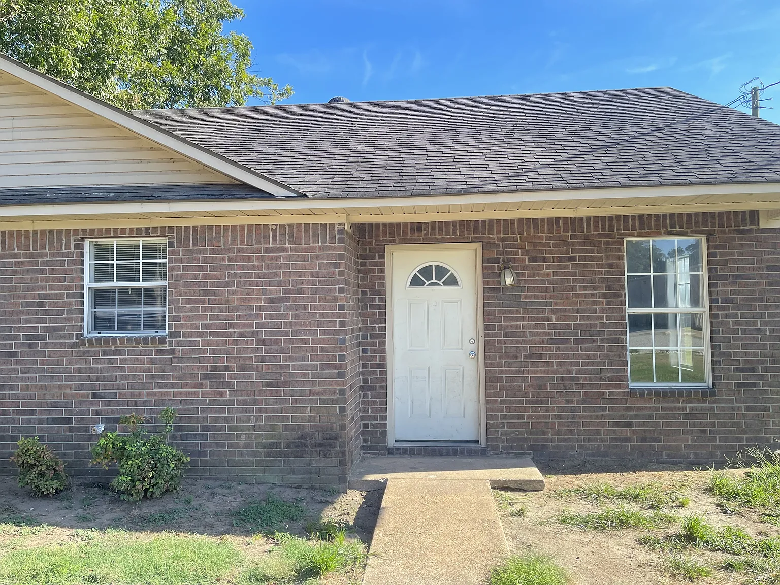 710 Tony - B — Photo 1