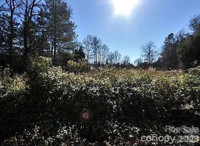 2nd image of 5009 Camp Stewart Rd