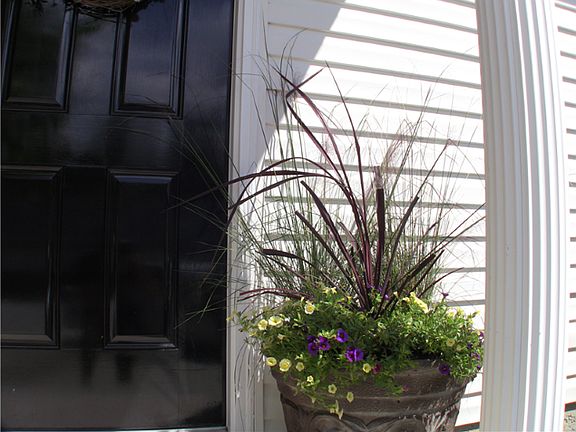 Beautiful covered entry