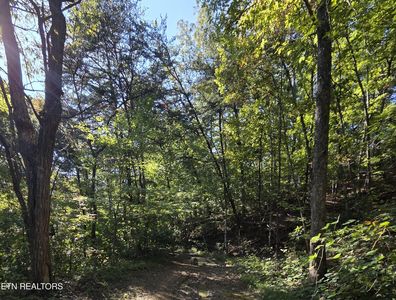 LOT 98 Redbud Way, Sevierville, TN, 37876
