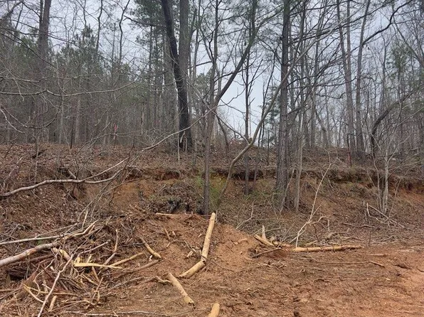 0 Riley Rd #0, Heflin, AL 36264