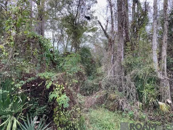 LOT 13 Lucien St, Denham Springs, LA 70726
