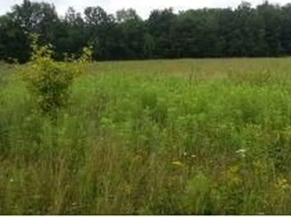 156 Allison Hill Rd, Newark Valley, NY 13811