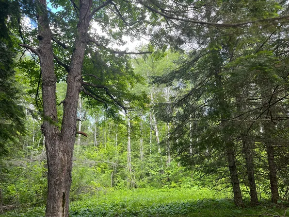 County Road 159, Northome, MN 56661