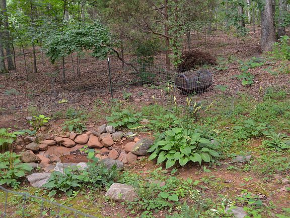 Rain garden w/Hostas & Ferns