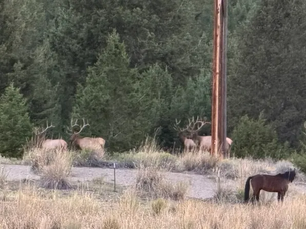 Nhn, Anaconda, MT 59711