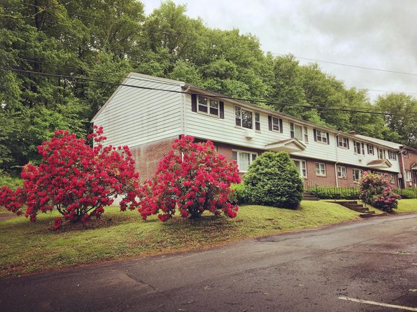 3 Rau St APT 3