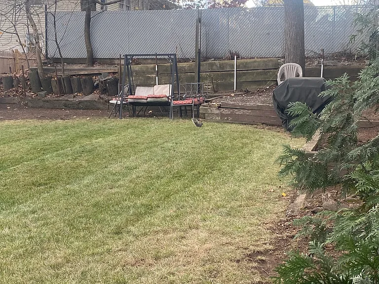 spacious backyard for playing with kids