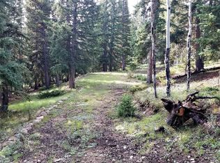 Selkirk Ln, Jefferson, CO 80456