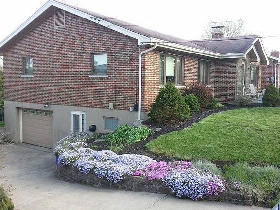 Beautiful phlox alongside driveway