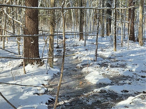 4th image of Calaboga Rd Lot 42