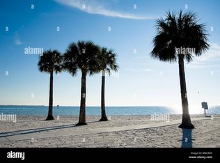 7032 Spring Hill Dr, Spring Hill, FL 34606