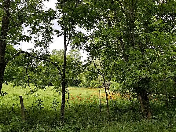 4th image of 10418 Madonna Dr