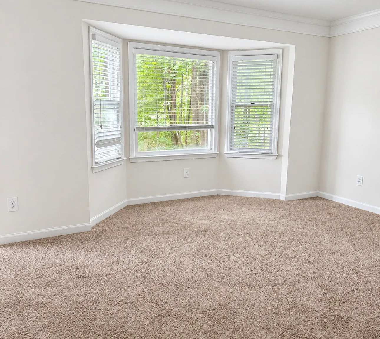 3 bed, 2.5 bath, 1679 sqft, $1,650 — Photo 1