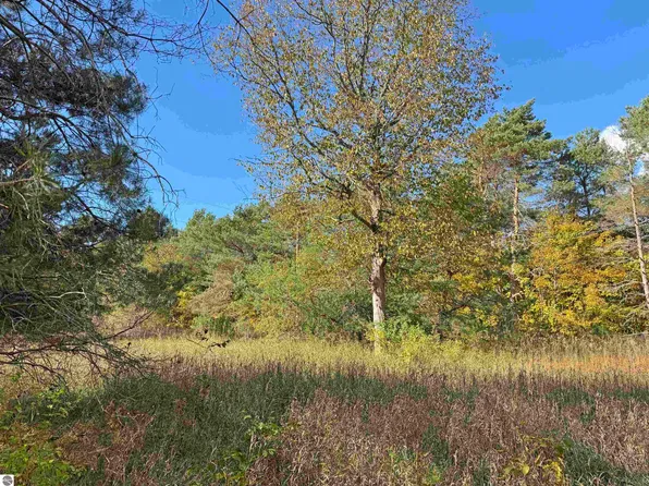 14 Brownell Rd, Beulah, MI 49617