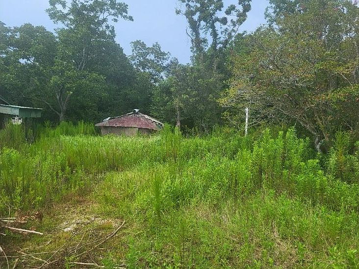 2nd image of 10050 Boe Rd