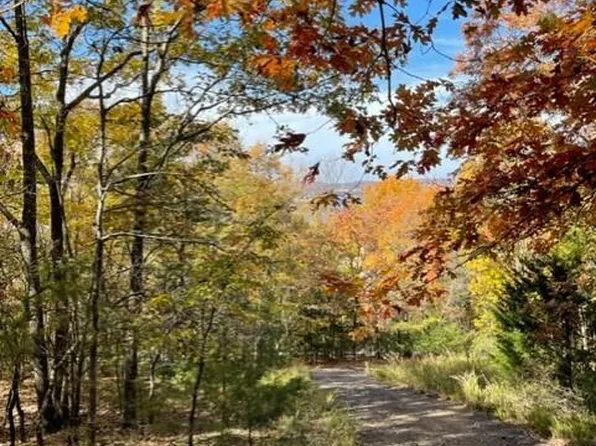 Tbd White Rockbluff, Reeds Spring, MO 65737