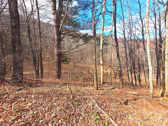 5th image of 250 Rome Beauty Rd #Tr5